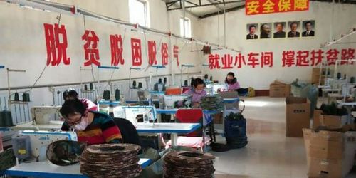 衡水市扶貧龍頭企業(yè)和扶貧車間全面復(fù)工，紡織品及針織品零售助力脫貧攻堅